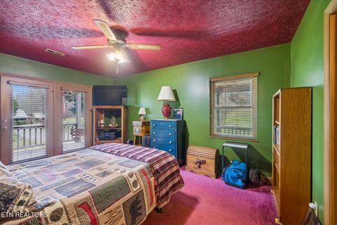 Tiny photo for 3514 Ginseng Way, Sevierville, TN 37862 (MLS # 1324571)