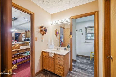 Tiny photo for 3514 Ginseng Way, Sevierville, TN 37862 (MLS # 1324571)