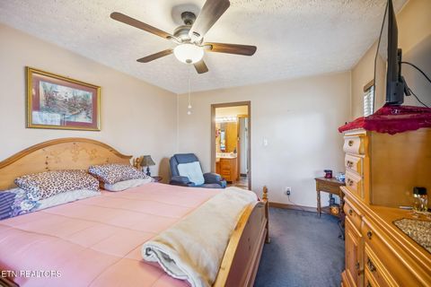 Tiny photo for 3514 Ginseng Way, Sevierville, TN 37862 (MLS # 1324571)