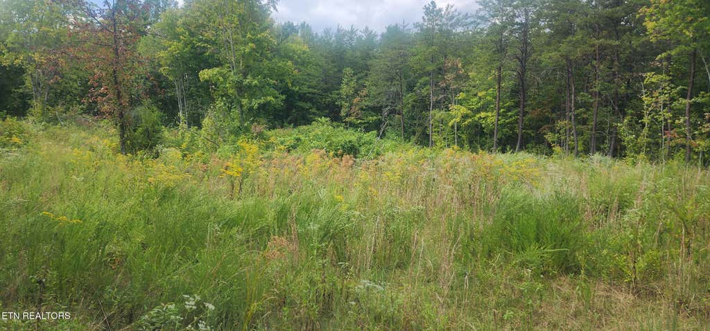 Photo of Clifty Cr Rd, Winfield, TN 37892 (MLS # 1313880)