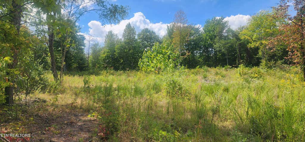 Photo of Clifty Cr Rd, Winfield, TN 37892 (MLS # 1313880)