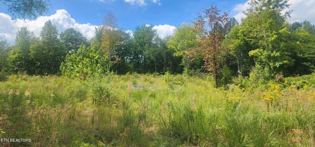 Photo of Clifty Cr Rd, Winfield, TN 37892 (MLS # 1313880)