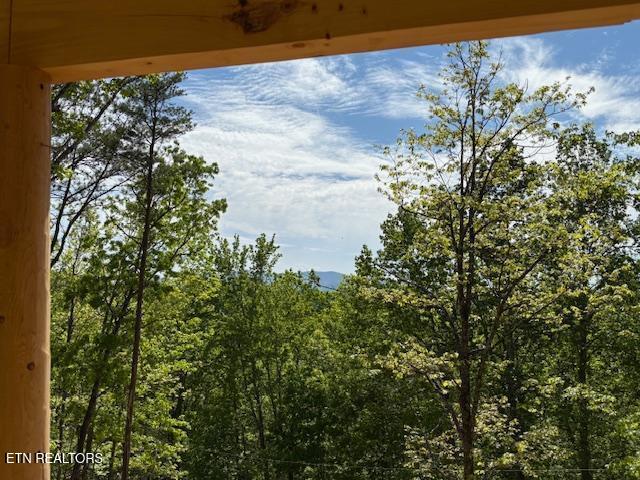 1541 Ski View Ln Lane