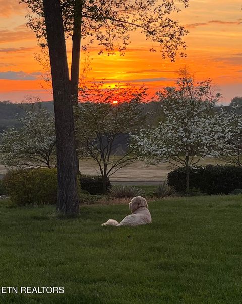 Tiny photo for 769 Oak Chase Blvd, Lenoir City, TN 37772 (MLS # 1330725)