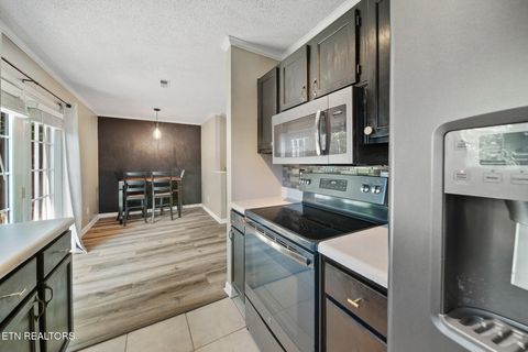 Tiny photo for 2019 Silverbrook Drive, Knoxville, TN 37923 (MLS # 1332266)