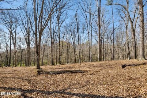 Tiny photo for 1300 Old Sugar Limb Rd, Loudon, TN 37774 (MLS # 1333705)