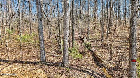 Tiny photo for 1300 Old Sugar Limb Rd, Loudon, TN 37774 (MLS # 1333705)