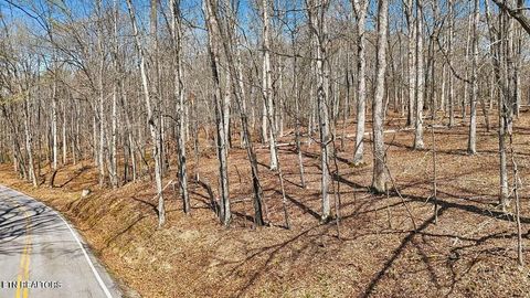 Tiny photo for 1300 Old Sugar Limb Rd, Loudon, TN 37774 (MLS # 1333705)