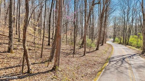 Tiny photo for 1300 Old Sugar Limb Rd, Loudon, TN 37774 (MLS # 1333705)
