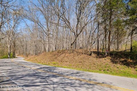 Tiny photo for 1300 Old Sugar Limb Rd, Loudon, TN 37774 (MLS # 1333705)