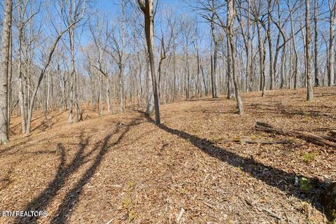 Tiny photo for 1300 Old Sugar Limb Rd, Loudon, TN 37774 (MLS # 1333705)