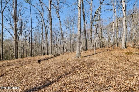 Tiny photo for 1300 Old Sugar Limb Rd, Loudon, TN 37774 (MLS # 1333705)
