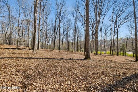 Tiny photo for 1300 Old Sugar Limb Rd, Loudon, TN 37774 (MLS # 1333705)
