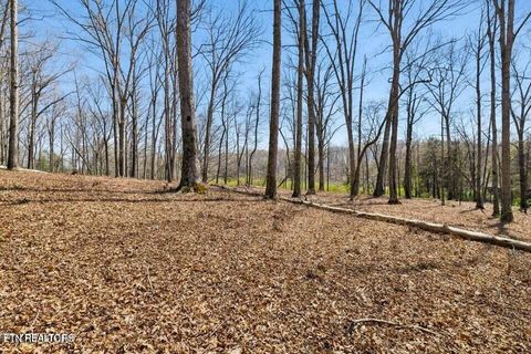 Tiny photo for 1300 Old Sugar Limb Rd, Loudon, TN 37774 (MLS # 1333705)