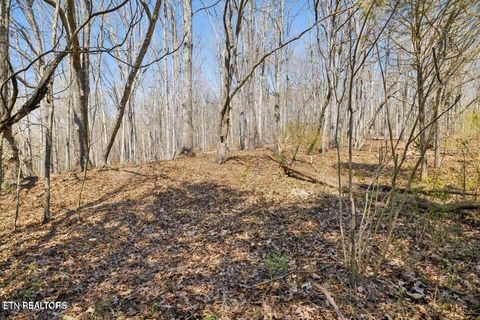 Tiny photo for 1300 Old Sugar Limb Rd, Loudon, TN 37774 (MLS # 1333705)