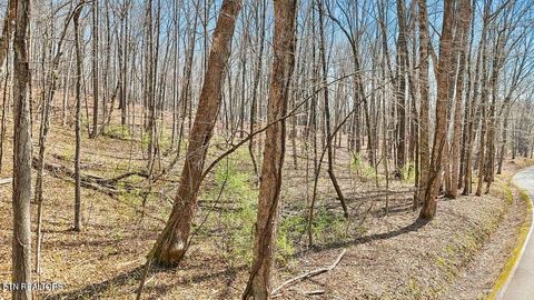 Tiny photo for 1300 Old Sugar Limb Rd, Loudon, TN 37774 (MLS # 1333705)