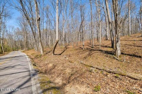 Tiny photo for 1300 Old Sugar Limb Rd, Loudon, TN 37774 (MLS # 1333705)