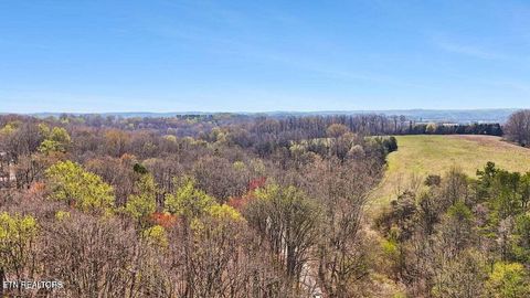 Tiny photo for 1300 Old Sugar Limb Rd, Loudon, TN 37774 (MLS # 1333705)