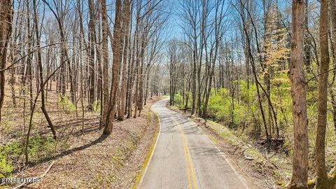 Tiny photo for 1300 Old Sugar Limb Rd, Loudon, TN 37774 (MLS # 1333705)