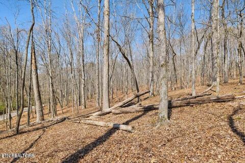 Tiny photo for 1300 Old Sugar Limb Rd, Loudon, TN 37774 (MLS # 1333705)