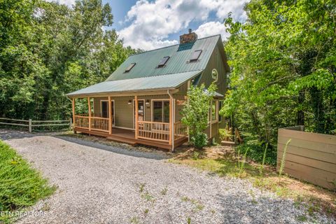 Photo of 218 Ace Gap Rd, Townsend, TN 37882 (MLS # 1322697)