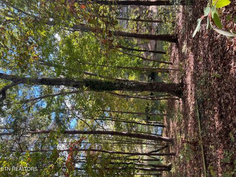 Tiny photo for 15 Andover Lane, Crossville, TN 38558 (MLS # 1332223)