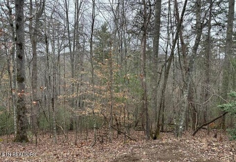 Photo of 173 Pineridge Loop, Fairfield Glade, TN 38558 (MLS # 1352914)
