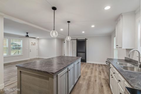 Tiny photo for 503 Pine St, Blaine, TN 37709 (MLS # 1322718)