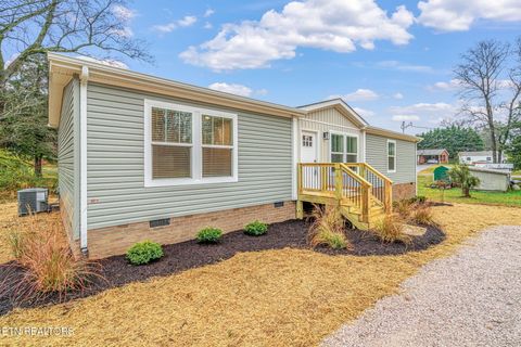 Tiny photo for 503 Pine St, Blaine, TN 37709 (MLS # 1322718)