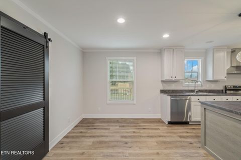 Tiny photo for 503 Pine St, Blaine, TN 37709 (MLS # 1322718)