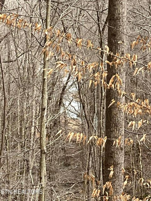 Tiny photo for 5459 Cheri Lane, Caryville, TN 37714 (MLS # 1331289)