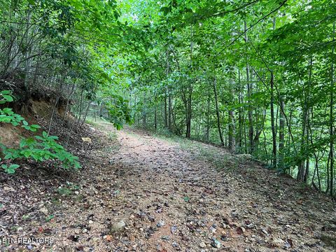 Tiny photo for 5459 Cheri Lane, Caryville, TN 37714 (MLS # 1331289)