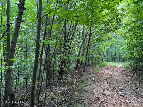 Tiny photo for 5459 Cheri Lane, Caryville, TN 37714 (MLS # 1331289)