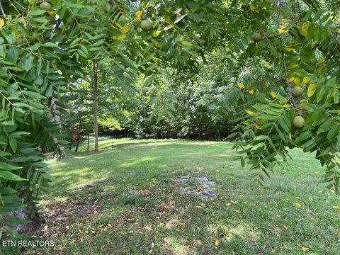 Tiny photo for 5459 Cheri Lane, Caryville, TN 37714 (MLS # 1331289)