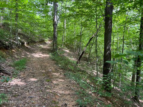 Tiny photo for 5459 Cheri Lane, Caryville, TN 37714 (MLS # 1331289)