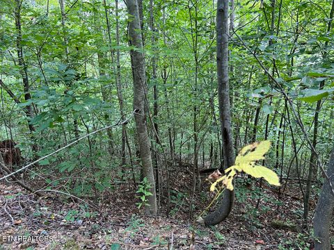 Tiny photo for 5459 Cheri Lane, Caryville, TN 37714 (MLS # 1331289)