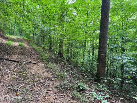 Tiny photo for 5459 Cheri Lane, Caryville, TN 37714 (MLS # 1331289)