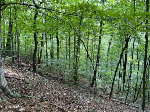 Tiny photo for 5459 Cheri Lane, Caryville, TN 37714 (MLS # 1331289)