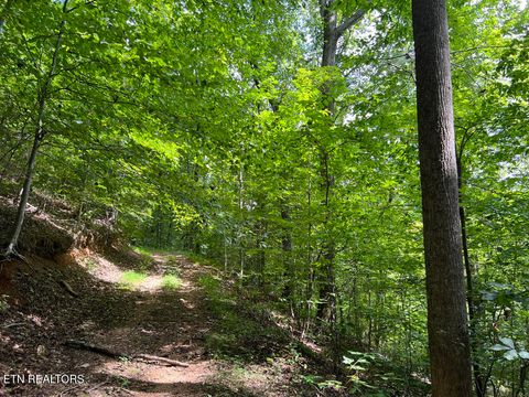 Tiny photo for 5459 Cheri Lane, Caryville, TN 37714 (MLS # 1331289)