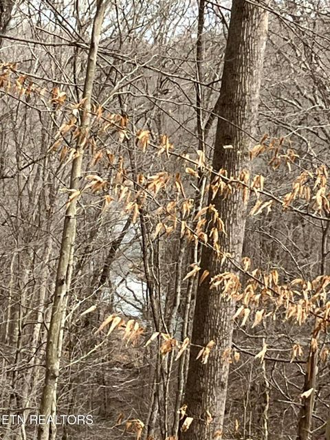 Tiny photo for 5459 Cheri Lane, Caryville, TN 37714 (MLS # 1331289)