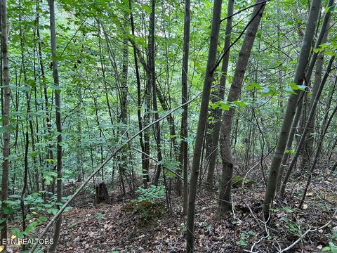 Tiny photo for 5459 Cheri Lane, Caryville, TN 37714 (MLS # 1331289)