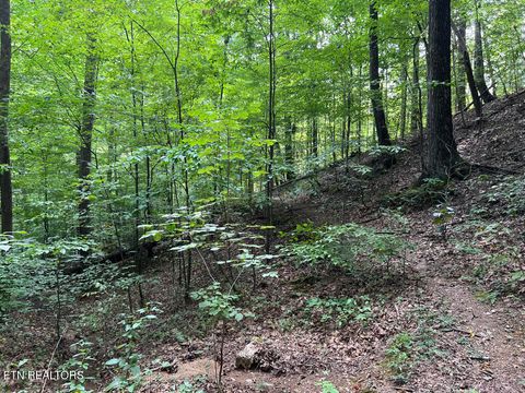 Tiny photo for 5459 Cheri Lane, Caryville, TN 37714 (MLS # 1331289)