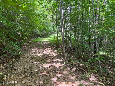 Tiny photo for 5459 Cheri Lane, Caryville, TN 37714 (MLS # 1331289)