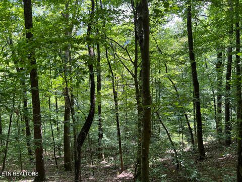 Tiny photo for 5459 Cheri Lane, Caryville, TN 37714 (MLS # 1331289)