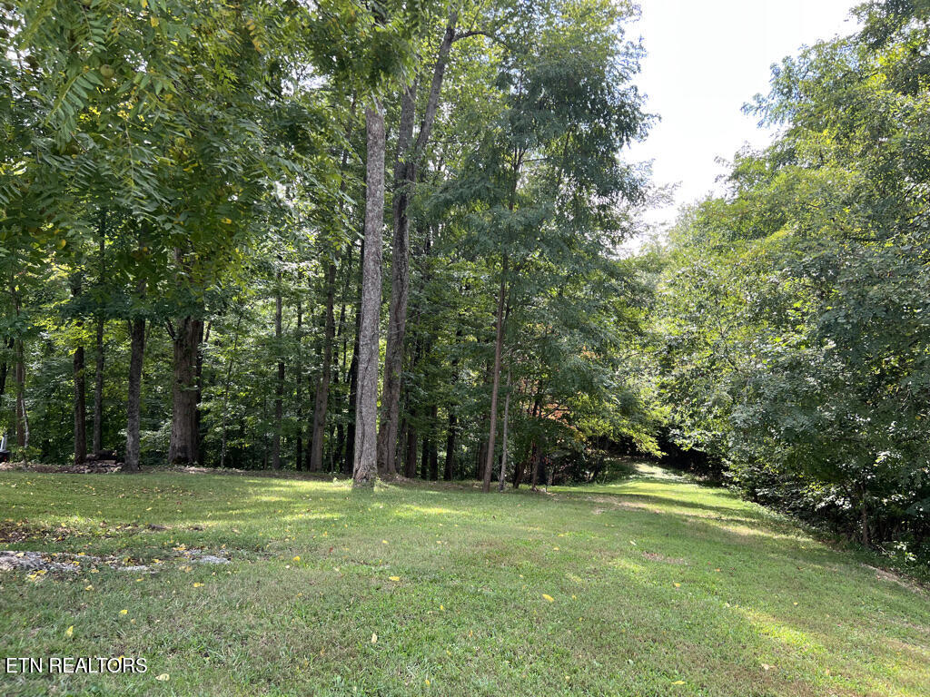Lot 54-59 Cheri Lane