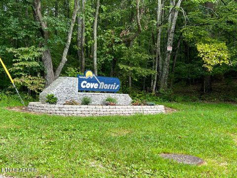 Tiny photo for 5459 Cheri Lane, Caryville, TN 37714 (MLS # 1331289)