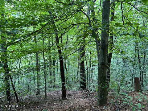 Tiny photo for 5459 Cheri Lane, Caryville, TN 37714 (MLS # 1331289)