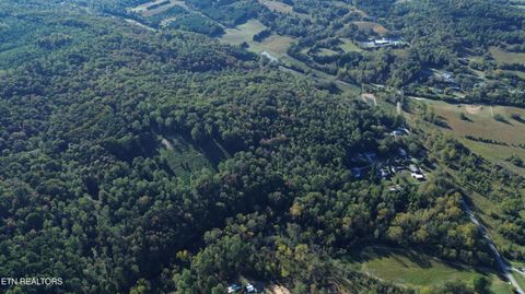 Tiny photo for 1154 Concord Lane, Evensville, TN 37332 (MLS # 1319939)