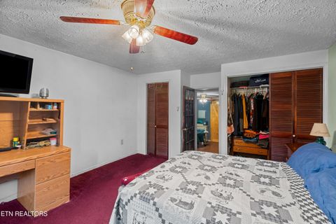 Tiny photo for 2826 Broken Valley Rd, Thorn Hill, TN 37881 (MLS # 1334178)