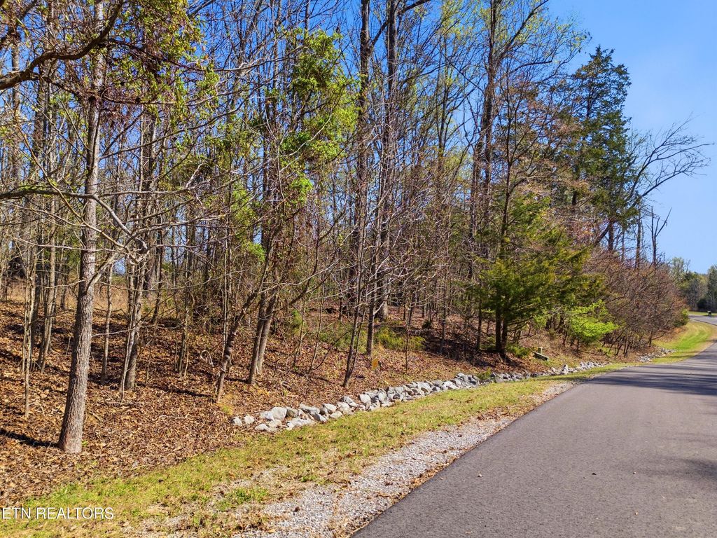 Photo of Lot 141 E Shore Drive, Rockwood, TN 37854 (MLS # 1334426)